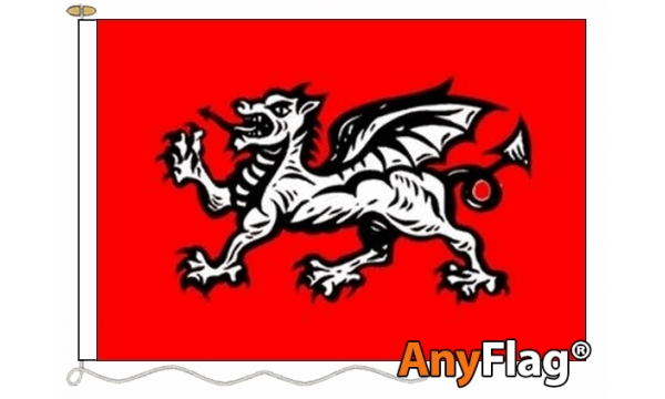 English Wessex Dragon (B) Custom Printed AnyFlag®